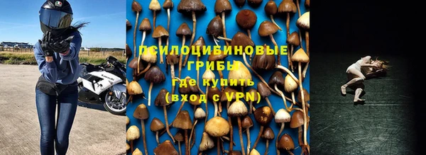 мдма Новозыбков