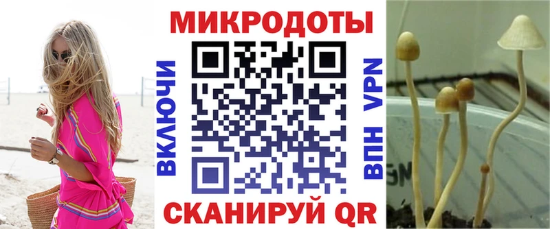 Псилоцибиновые грибы прущие грибы  купить  сайты  KRAKEN вход  Покачи 